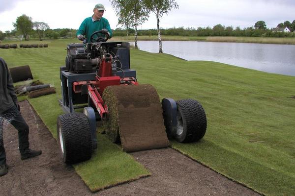 2018種早熟禾賺錢嗎？早熟禾種植的利潤與投資成本及前景預(yù)測
