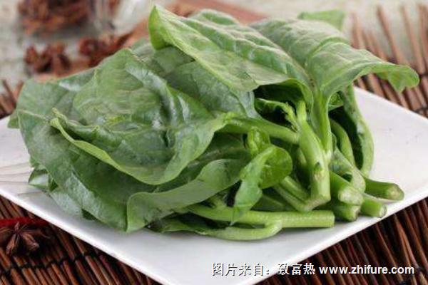 木耳菜孕婦能吃嗎