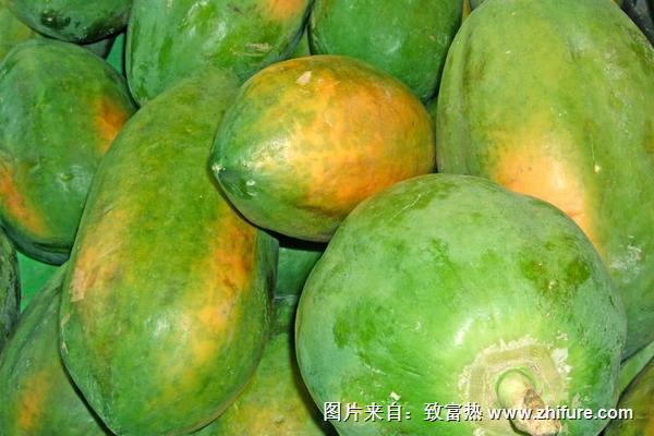 木瓜什么時候成熟