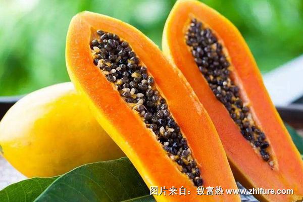 木瓜什么時候成熟