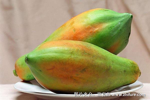 木瓜什么時候成熟