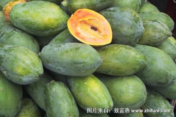 木瓜什么時候成熟