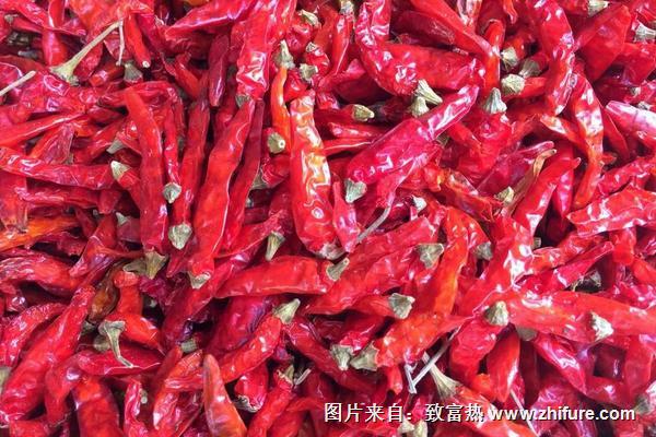 怎樣炸辣椒又脆又香