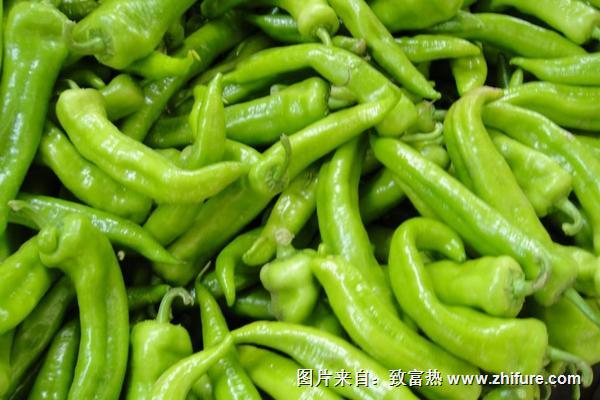 尖椒營養(yǎng)價(jià)值