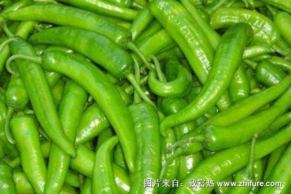 尖椒營養(yǎng)價(jià)值-------欄目:百科 分組:辣椒