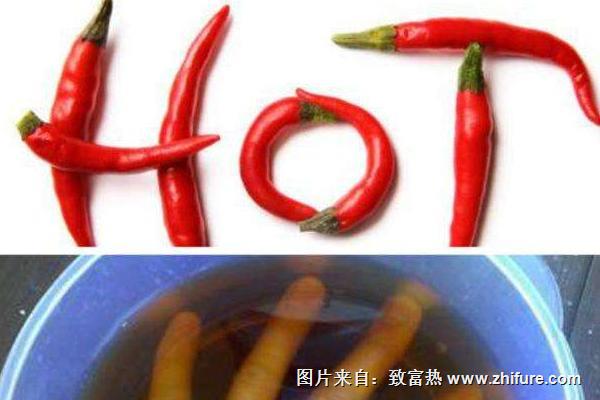 手上有辣椒很辣怎么辦