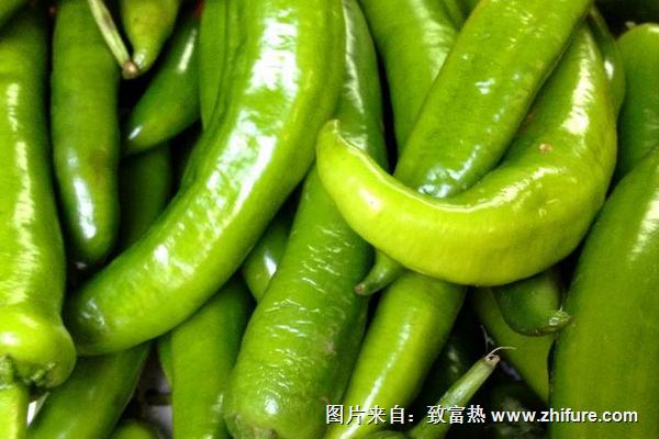 青椒辣嗎