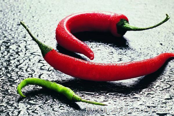 青椒辣嗎