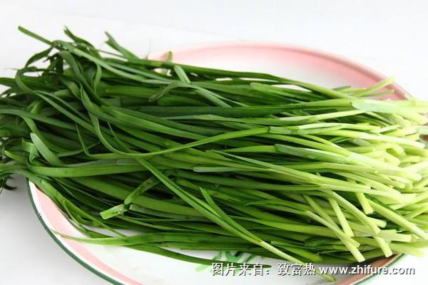 韭菜的功效與作用及禁忌