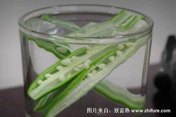 秋葵泡水喝有什么好處