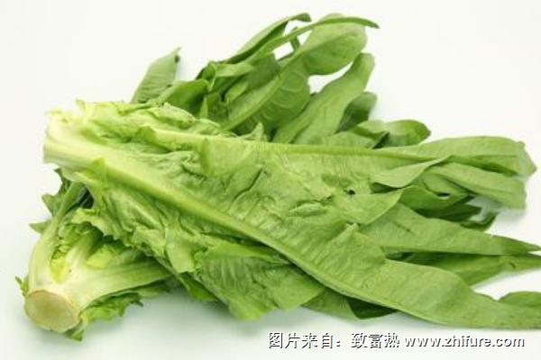 蒜蓉油麥菜的做法大全