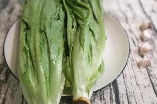 油麥菜和萵筍葉的區別是什么