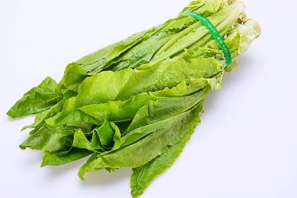 油麥菜和萵筍葉的區別是什么