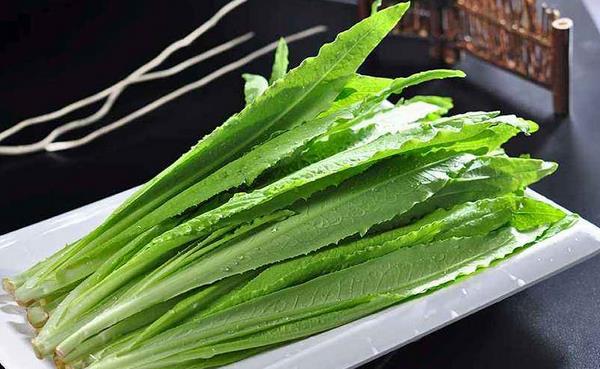 油麥菜和萵筍葉的區別是什么