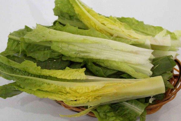 油麥菜和萵筍葉的區別是什么