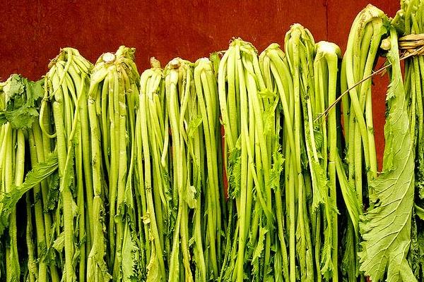 雪里紅價格多少錢一斤