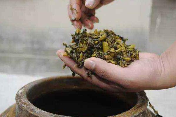 雪里紅是什么菜