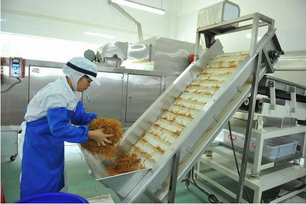 竹筍加工設(shè)備有哪些