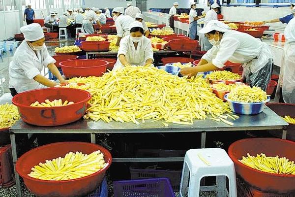 竹筍加工設(shè)備有哪些