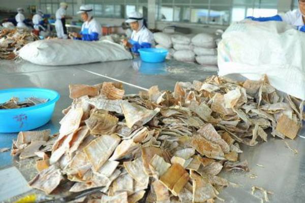 竹筍加工設(shè)備有哪些