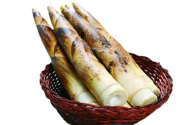 竹筍加工設(shè)備有哪些