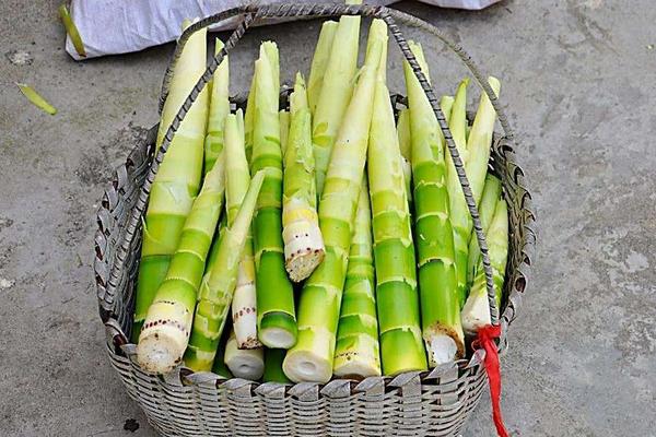 竹筍加工設(shè)備有哪些