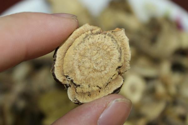 種苦參田間管理的經驗