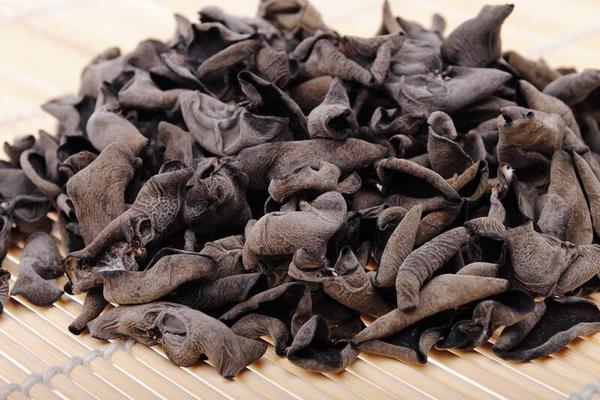 黑木耳如何進行霧灌