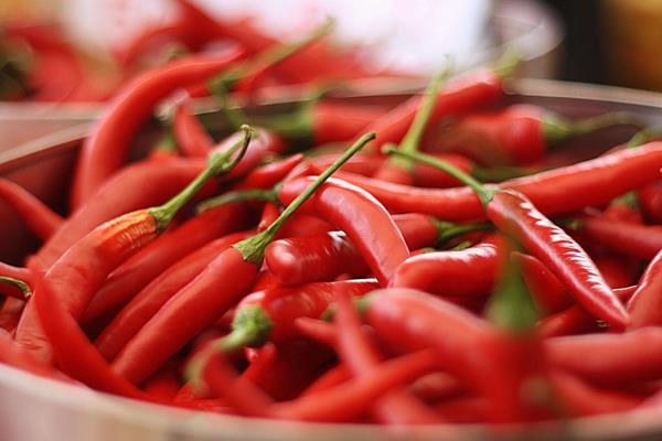 辣椒種植效益分析