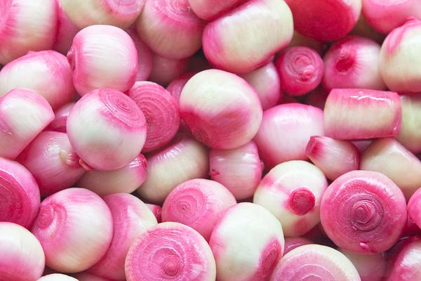 孕婦可以吃洋蔥嗎