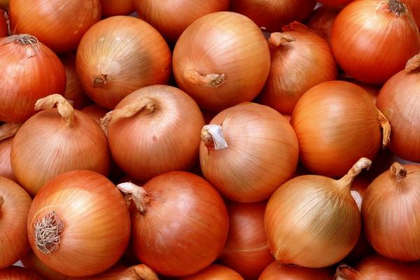 孕婦可以吃洋蔥嗎