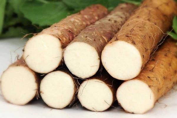 山藥發芽了還能吃嗎