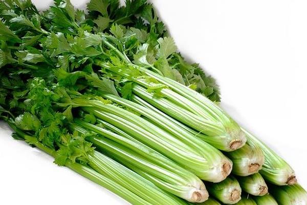 竹筍的熱量是多少