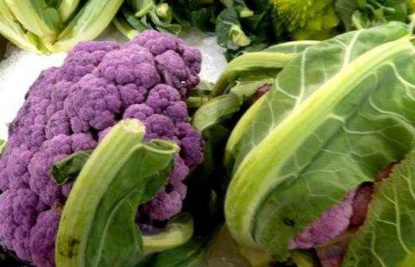 彩色花椰菜價格多少錢一斤
