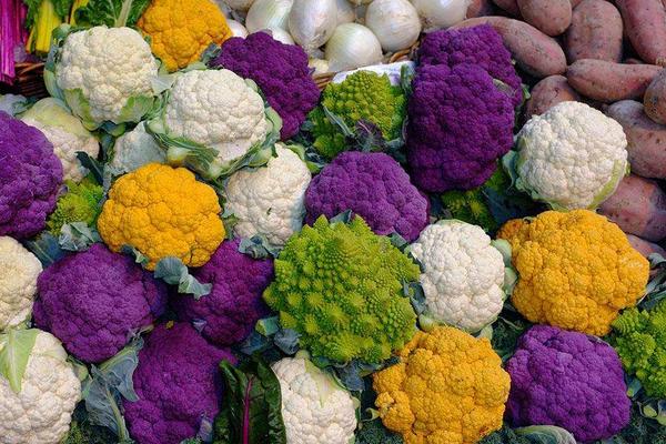 彩色花椰菜價格多少錢一斤