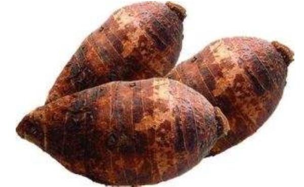 荔浦芋頭的做法大全