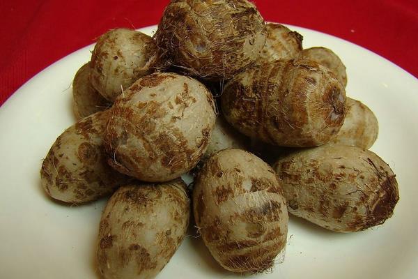 荔浦芋頭怎么蒸