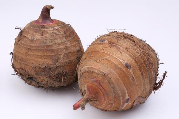 芋艿的功效與作用及禁忌