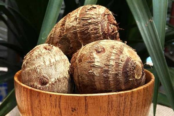 芋艿的功效與作用及禁忌