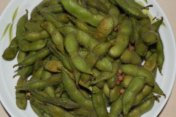 毛豆是發(fā)物嗎