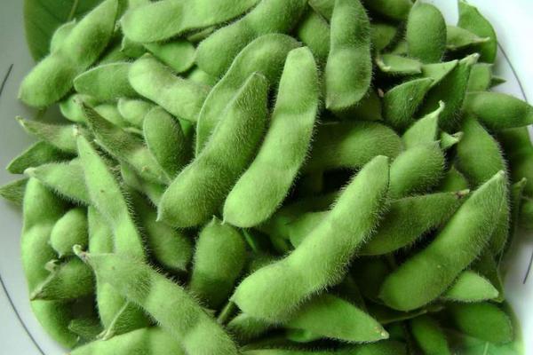 毛豆的熱量是多少