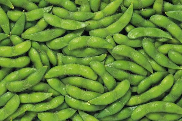 新鮮毛豆怎么保存