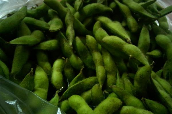 新鮮毛豆怎么保存