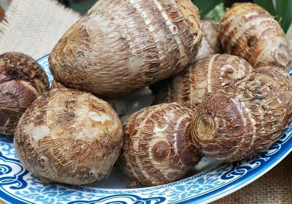 孕婦能吃荔浦芋頭嗎