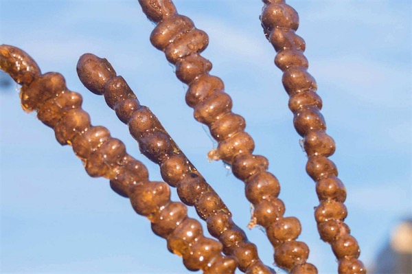 山藥豆糖葫蘆的制作方法-