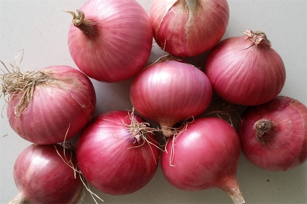 洋蔥的功效與作用及禁忌