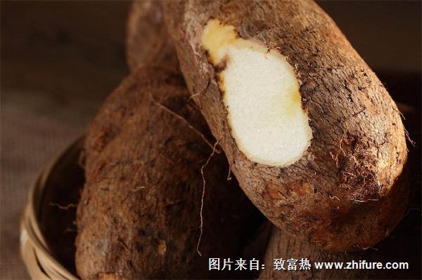 山藥什么時候種