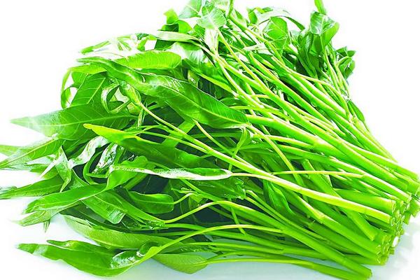 空心菜孕婦能吃嗎