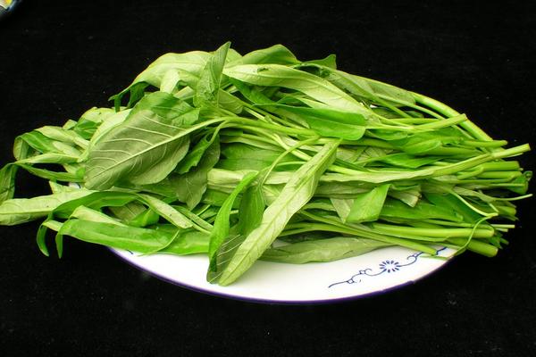 空心菜葉子能吃嗎