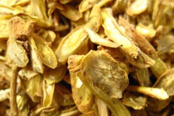 黃芩市場現(xiàn)狀及未來市場前景分析